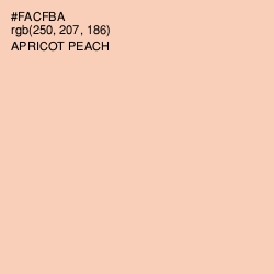 #FACFBA - Apricot Peach Color Image